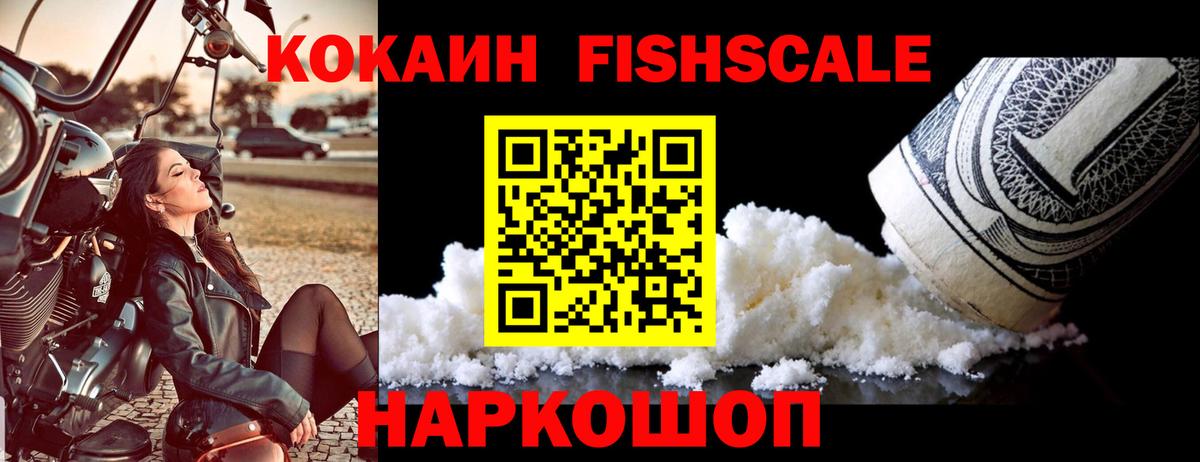 дарнет шоп  Вход с VPN  Саров  COCAIN FishScale 