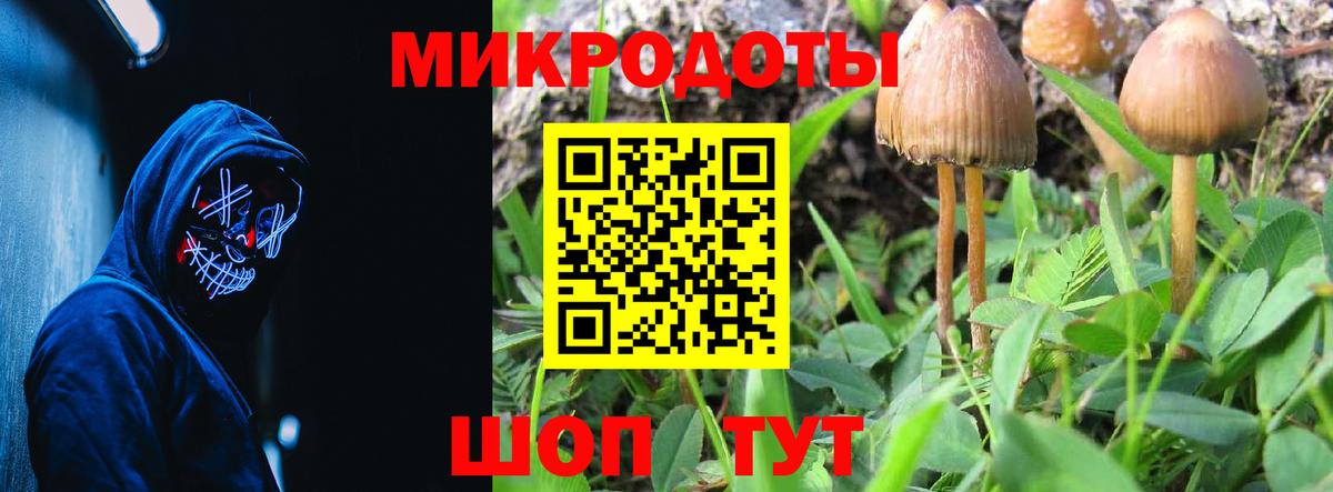 Псилоцибиновые грибы Cubensis Саров